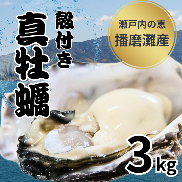 瀬戸内の恵みを一口に！濃厚な旨みが詰まった殻付き真牡蠣 3kg　牡蛎ナイフ＆軍手付【兵庫県播磨灘産】