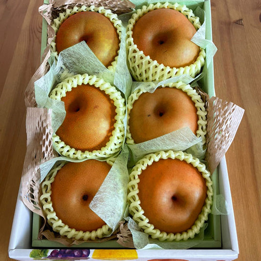 濃厚な甘味で一躍大人気 新甘泉梨 化粧箱入 小玉 5-6玉 【鳥取県産】
