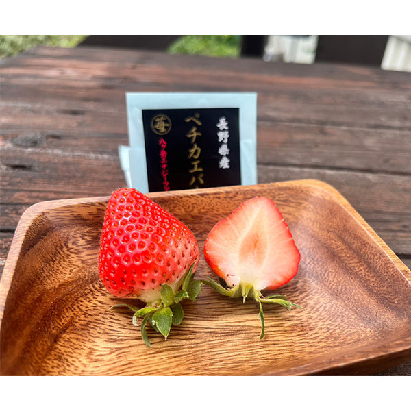 しっかりとした酸味の夏いちご　ペチカエバー 200g×4【長野県富士見産】