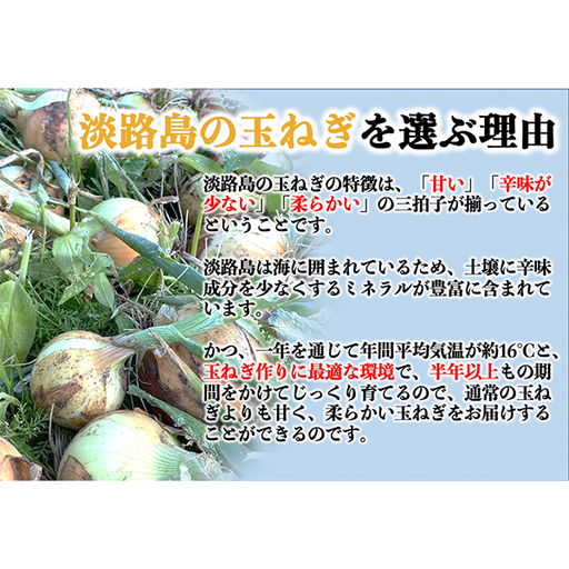 K.ファーム厳選!淡路島『歩』新玉ねぎ 3kg【兵庫県淡路島産】