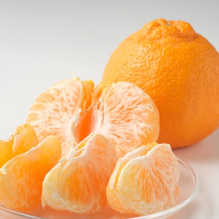 《予約販売／訳あり》贅沢みかんの不知火 8kg 【和歌山県田辺産】