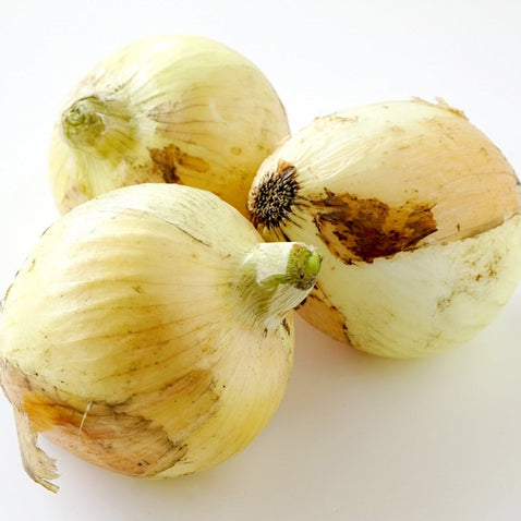 淡路島玉ねぎ “いくたま”10kg【兵庫県淡路島産】