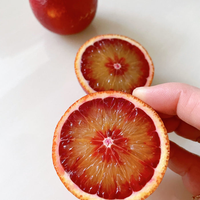 ワインにも合う果実 ブラッドオレンジ 5kg【和歌山県田辺産】