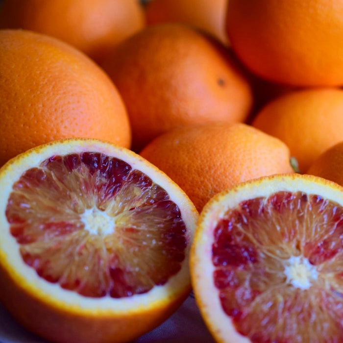 ワインにも合う果実 ブラッドオレンジ 5kg【和歌山県田辺産】