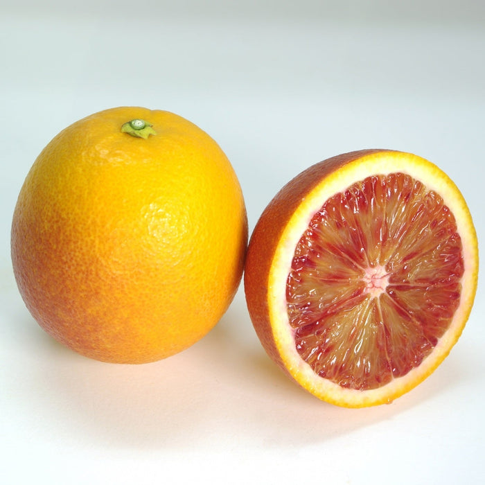 ワインにも合う果実 ブラッドオレンジ 5kg【和歌山県田辺産】