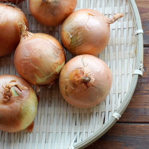 淡路島玉ねぎ “いくたま”10kg【兵庫県淡路島産】