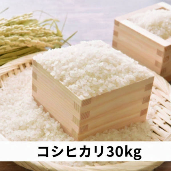 《予約販売 / 9月中旬発送予定》《減農薬》《令和8年度産》淡路島米 コシヒカリ厳選栽培 淡路島の豊かな大地が育てた美味しいお米30kg【兵庫県南あわじ産】