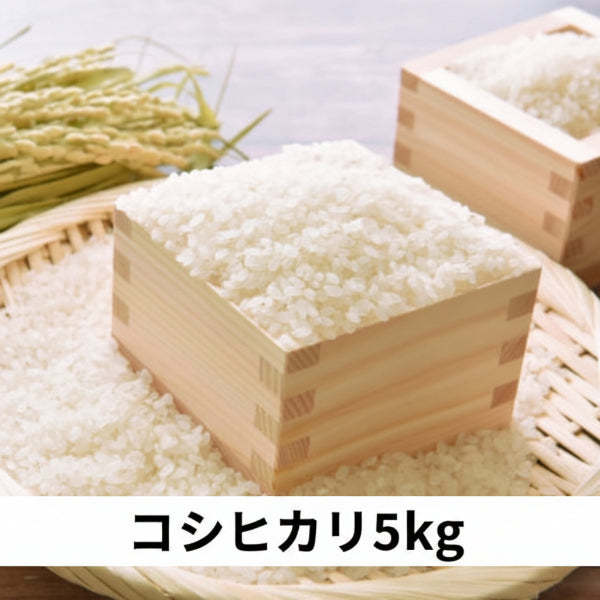 《予約販売 / 9月中旬発送予定》《減農薬》《令和8年度産》淡路島米 コシヒカリ厳選栽培 淡路島の豊かな大地が育てた美味しいお米5kg【兵庫県南あわじ産】
