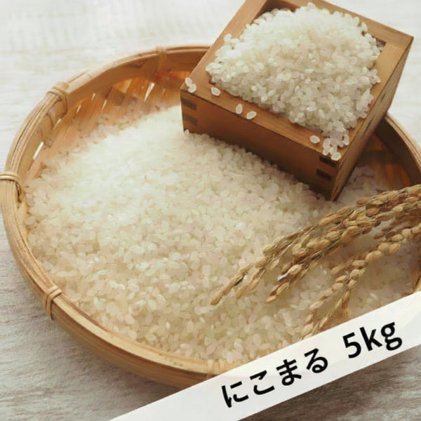 《予約販売 / 9月中旬発送予定》《減農薬》《令和8年度産》淡路島米 にこまる厳選栽培 淡路島の豊かな大地が育てた美味しいお米5kg【兵庫県南あわじ産】