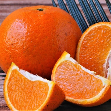 《予約販売》南国の太陽が育んだ濃厚な甘さと芳醇な香り タンカン 5kg【鹿児島県徳之島産】