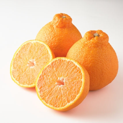 《予約販売／訳あり》贅沢みかんの不知火 8kg 【和歌山県田辺産】