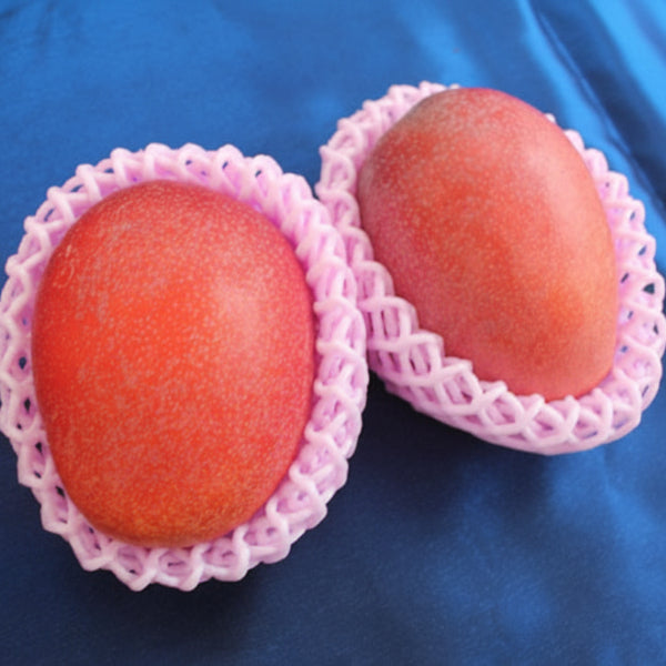 とろける南国のご褒美 完熟マンゴー 400g×2玉入り【鹿児島県産】　