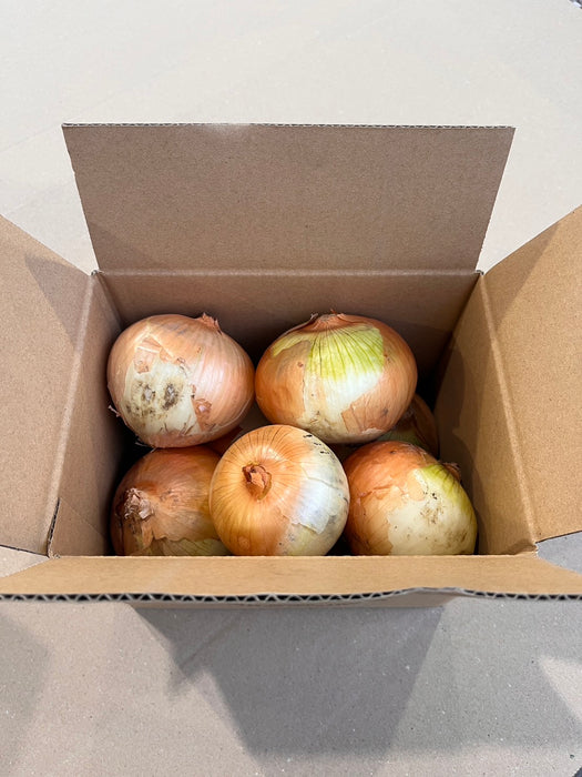 《訳あり》淡路島玉ねぎ “いくたま”  1.8kg【兵庫県淡路島産】