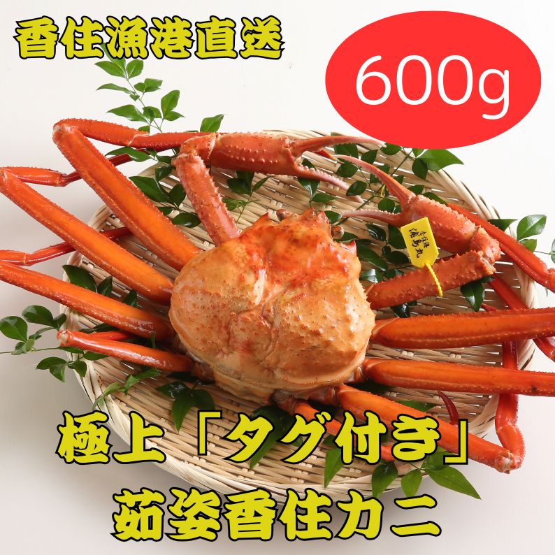 香住漁港直送！職人の目利きが選ぶ極上「タグ付き」茹姿香住ガニ 600g