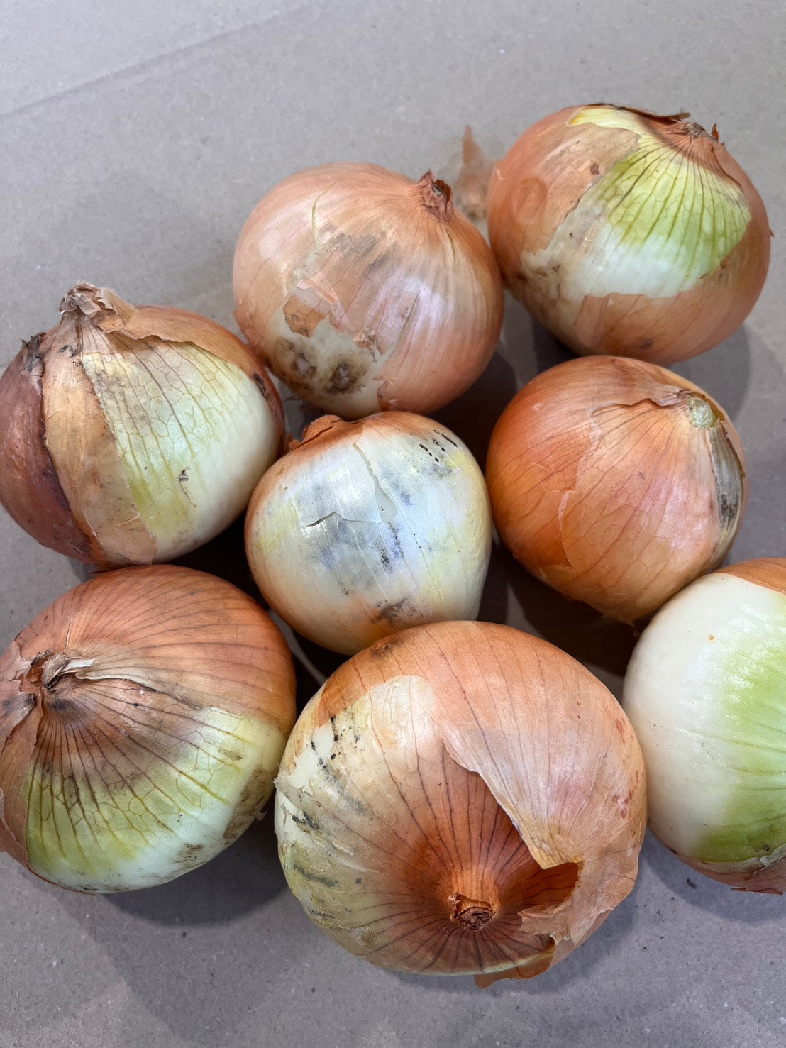 3_e16aa842-ee96-433f-b546-