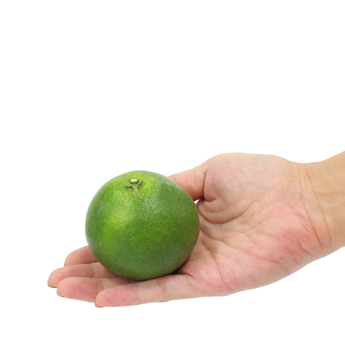 日々、真剣勝負のみかん農家が育てた 極早生みかん YN26 3kg【和歌山県有田川産】