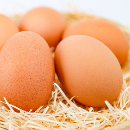 《予約販売 / 4月下旬発送》《有精卵》いのちをいただく濃厚な一玉 おんどり君とめんどりさんの贈り物 72個【香川県三豊産】