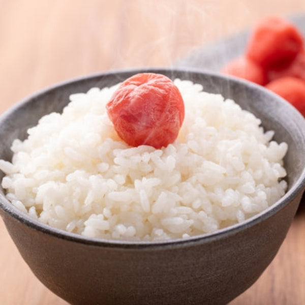 《予約販売 / 9月中旬発送予定》《減農薬》《令和8年度産》淡路島米 コシヒカリ厳選栽培 淡路島の豊かな大地が育てた美味しいお米20kg【兵庫県南あわじ産】