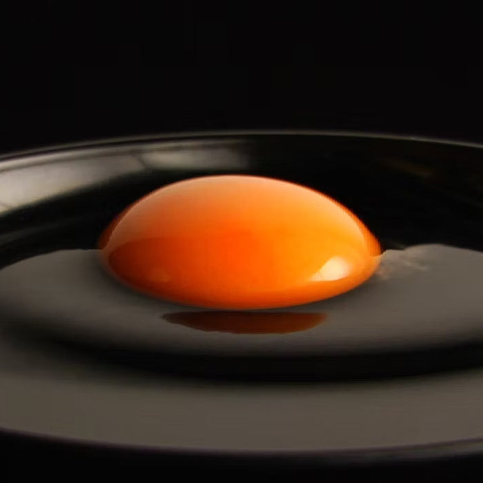 《予約販売 / 4月下旬発送》《有精卵》いのちをいただく濃厚な一玉 おんどり君とめんどりさんの贈り物 72個【香川県三豊産】