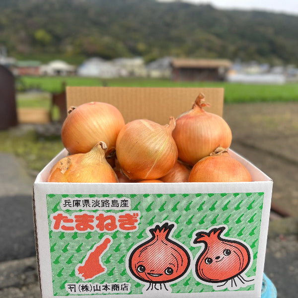 《訳あり》こだわりの淡路島玉ねぎ 糖度は果物級！甘くてジューシーな極上たまねぎ5kg【兵庫県南あわじ産】