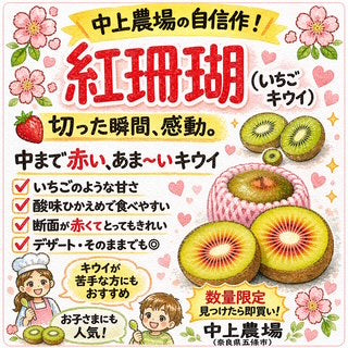 中上さん家の紅珊瑚（いちご）キウイ　【奈良県五條産】