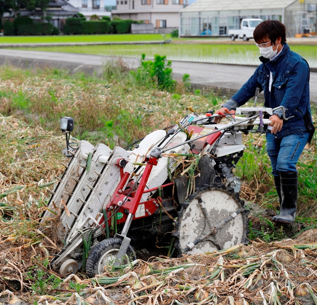 納豆菌栽培 淡路島産玉ねぎ 20kg【兵庫県淡路島産】