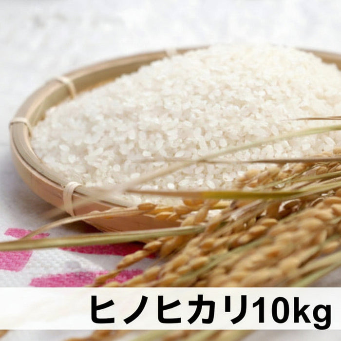 《予約販売 / 9月中旬発送予定》《減農薬》《令和8年度産》淡路島米 ヒノヒカリ厳選栽培 淡路島の豊かな大地が育てた美味しいお米10kg【兵庫県南あわじ産】