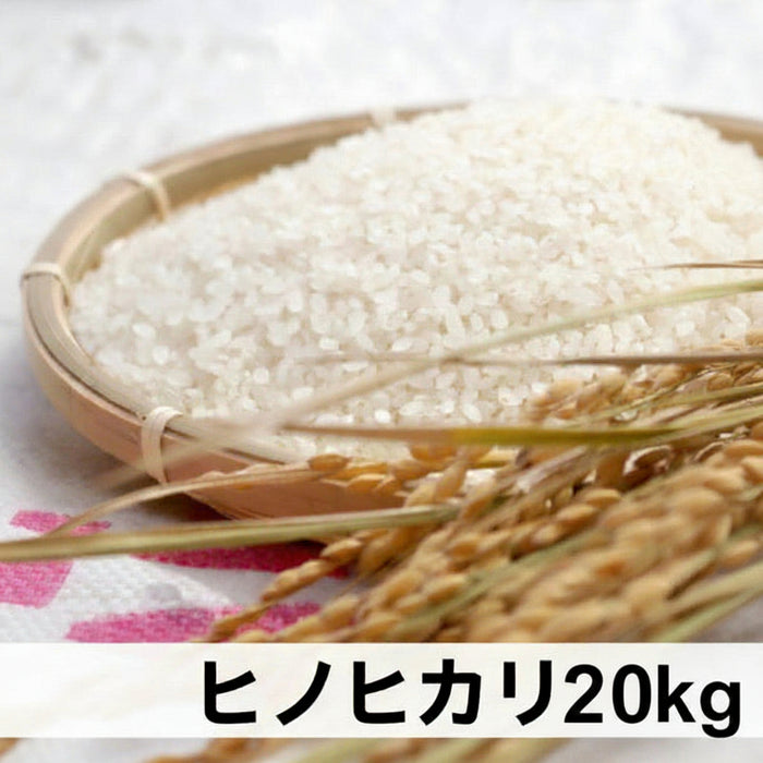 《予約販売 / 9月中旬発送予定》《減農薬》《令和8年度産》《令和8年度産》淡路島米 ヒノヒカリ厳選栽培 淡路島の豊かな大地が育てた美味しいお米20kg【兵庫県南あわじ産】