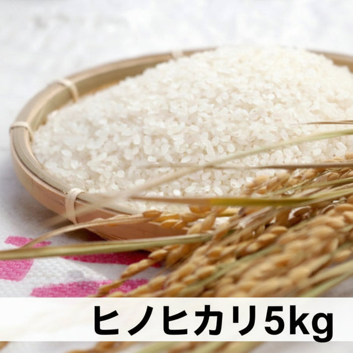 《予約販売 / 9月中旬発送予定》淡路島米 ヒノヒカリ厳選栽培 淡路島の豊かな大地が育てた美味しいお米5kg【兵庫県南あわじ産】