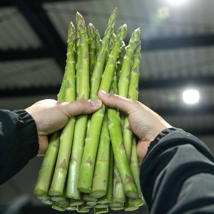 噂のアスパラガス　さぬきのめざめ　1㎏【香川県三豊産】