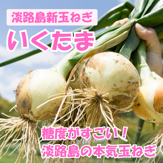淡路島 新玉ねぎ 極早生 “いくたま” 5kg【兵庫県淡路島産】