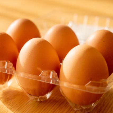 《予約販売 / 4月下旬発送》《有精卵》いのちをいただく濃厚な一玉 おんどり君とめんどりさんの贈り物 72個【香川県三豊産】