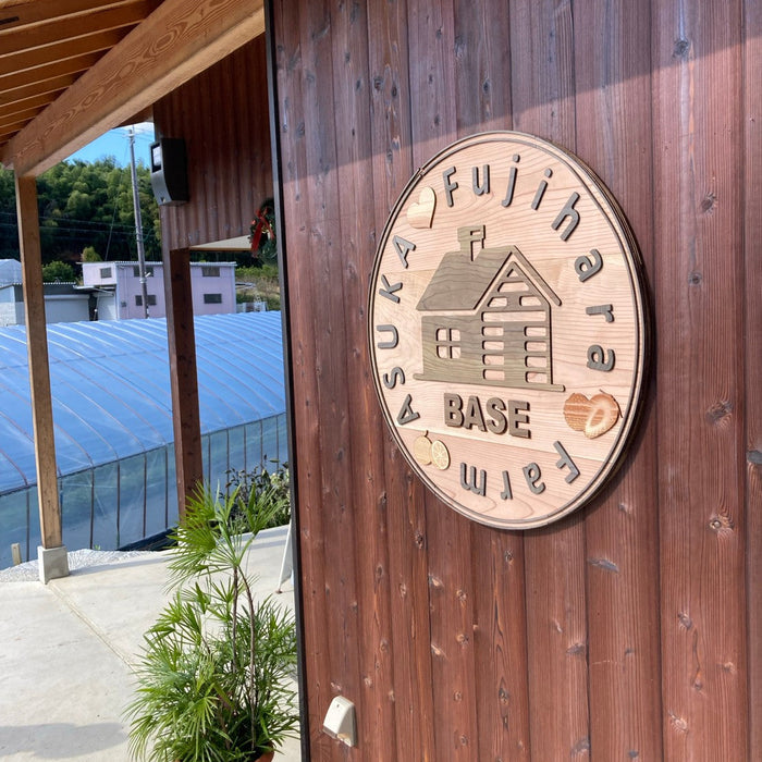 明日香村の澄んだ空気と豊かな大地で育った 温州みかん 3kg【奈良県明日香村産】