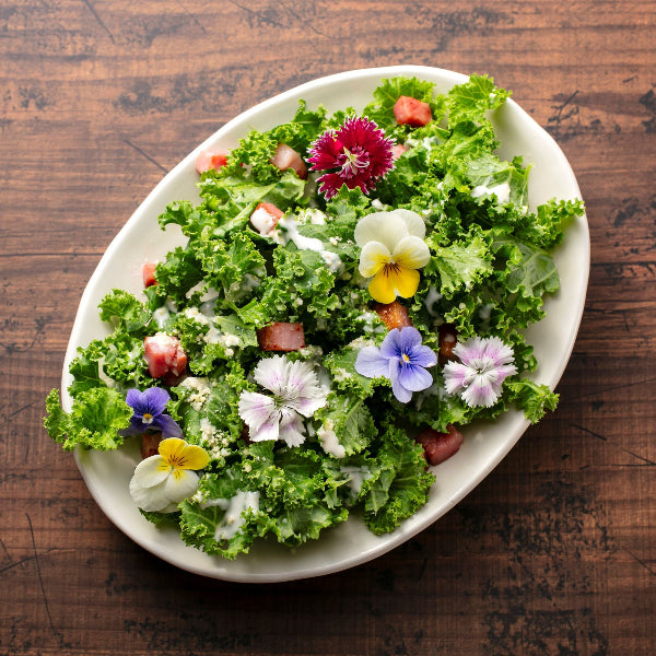 えぐみを超えた、やさしさ。毎日続く贅沢習慣 王さまケール 1.2kg【大阪府泉佐野産】