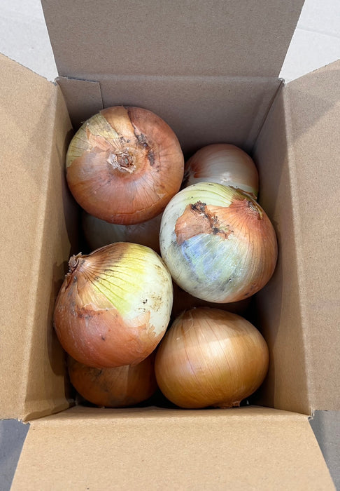《訳あり》淡路島玉ねぎ “いくたま”  1.8kg【兵庫県淡路島産】