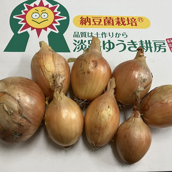 《訳あり》納豆菌栽培 淡路島産玉ねぎ 8kg【兵庫県淡路島産】