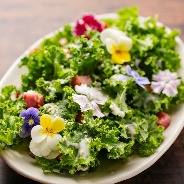 えぐみを超えた、やさしさ。毎日続く贅沢習慣 王さまケール 1.2kg【大阪府泉佐野産】