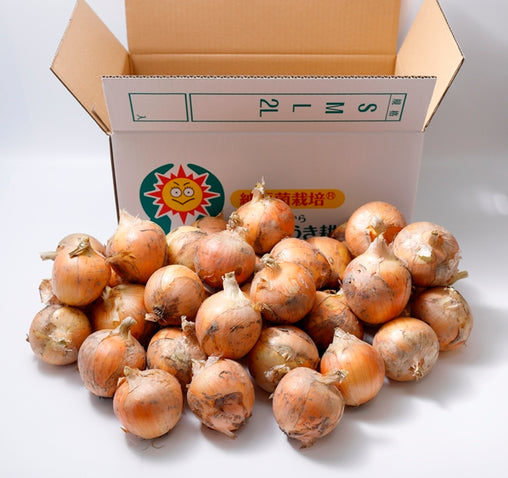 納豆菌栽培 淡路島産玉ねぎ 8kg【兵庫県淡路島産】