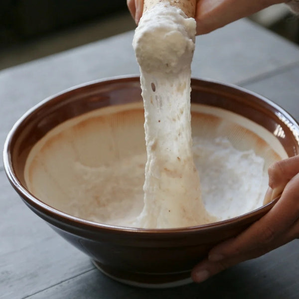 《家庭用》粘り、別格。里山が育てた極上自然薯　飛鳥自然薯 一白 -IPPAKU- 150g【奈良県明日香村産】