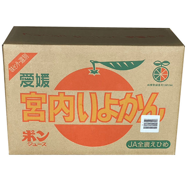 《訳あり》はじける香り 果汁たっぷり 愛媛の誇る極上品！　宮内伊予柑　L 10kg【愛媛県松山産】