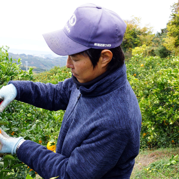 紀州の陽だまり梅ジュース700ml　【和歌山県田辺産】