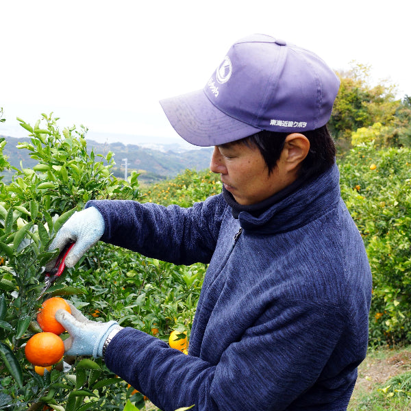 自然の恵み贅沢ジュース 700ml×3本セット【和歌山県田辺産】