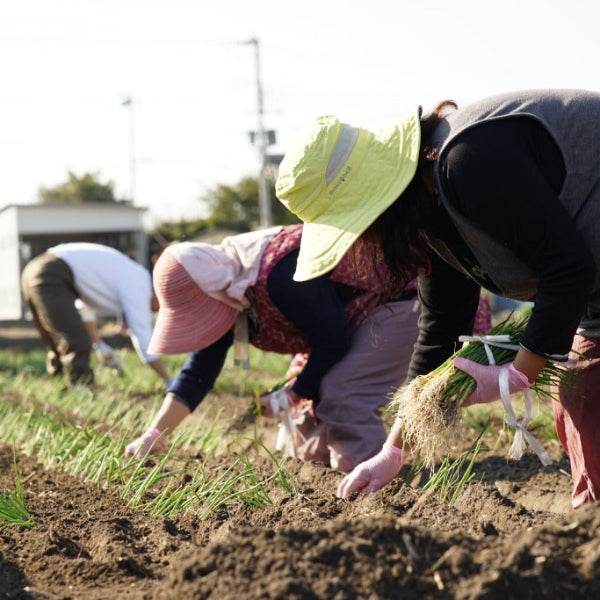 《予約販売 / 5月下旬発送》ひょうご安心ブランド認証　幻の真っ白な淡路島たまねぎ　3kg【兵庫県淡路島産】