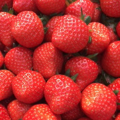 希少な赤い宝石　あすかルビー 1kg【奈良県明日香村産】