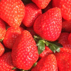 希少な赤い宝石　あすかルビー 1kg【奈良県明日香村産】