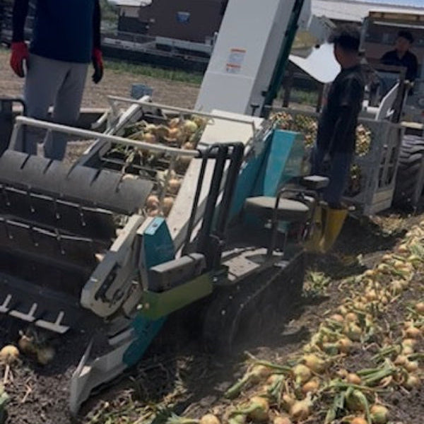 こだわりの淡路島玉ねぎ 糖度は果物級！甘くてジューシーな極上たまねぎ20kg【兵庫県南あわじ産】