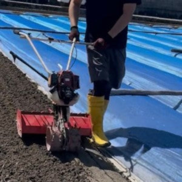 こだわりの淡路島玉ねぎ 糖度は果物級！甘くてジューシーな極上たまねぎ20kg【兵庫県南あわじ産】