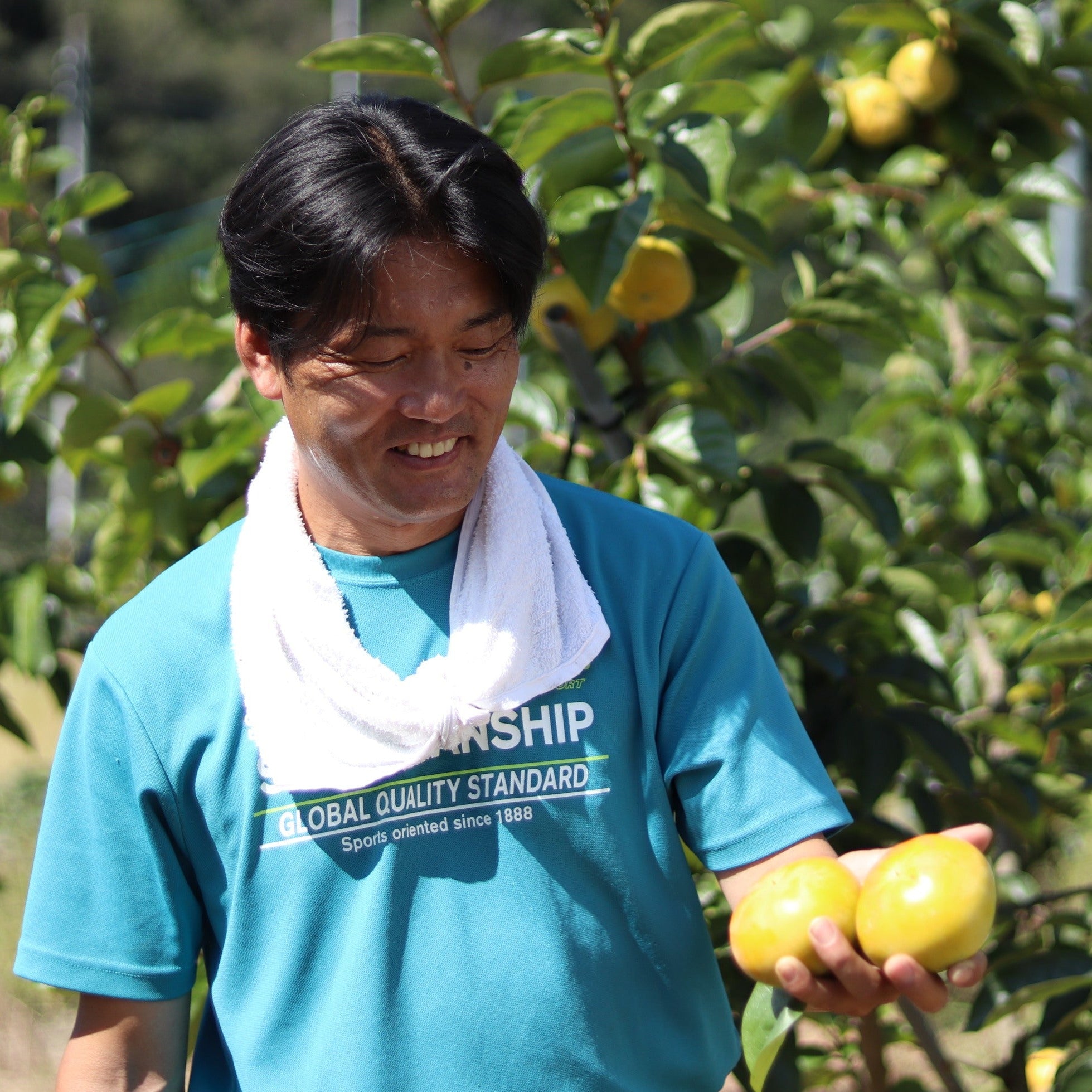 《予約販売》中上さん家の柿　自信を持っておいしいと自慢できる太秋【奈良県五條産】