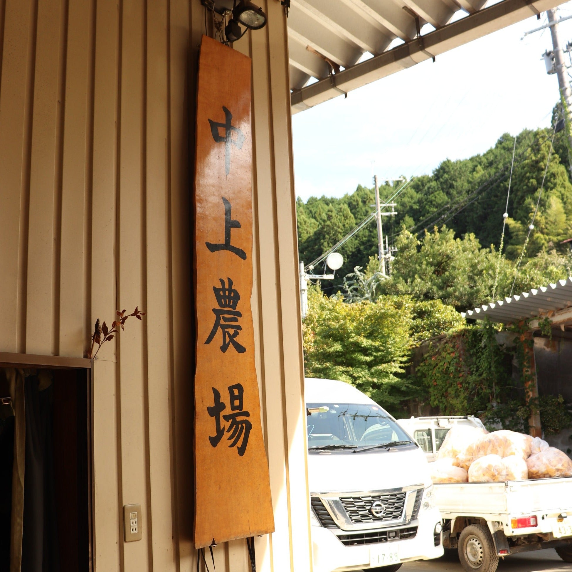 《予約販売》中上さん家の柿　自信を持っておいしいと自慢できる太秋【奈良県五條産】