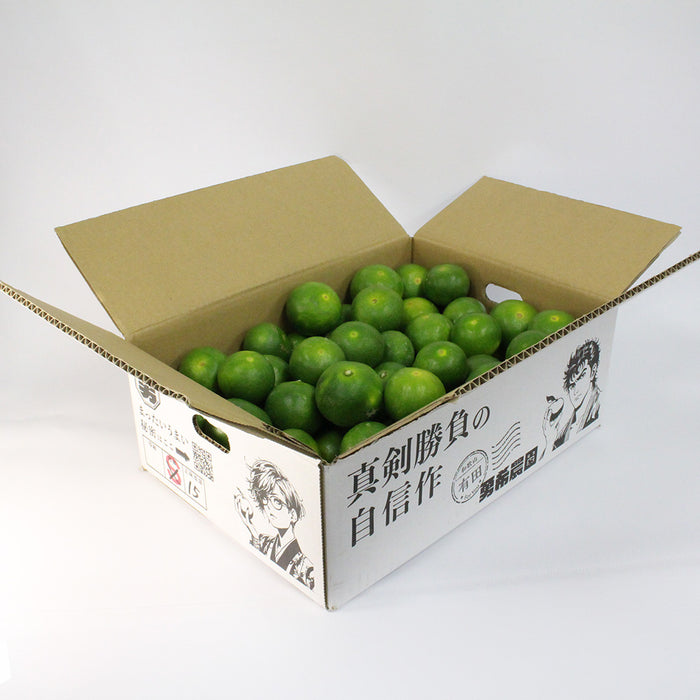 日々、真剣勝負のみかん農家が育てた 極早生みかん YN26 3kg【和歌山県有田川産】